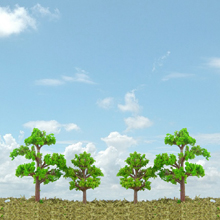 model trees